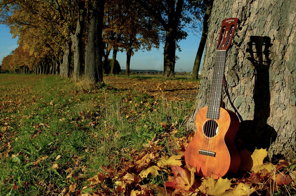 Top 14 Tracks to Get You In the Mood For Autumn